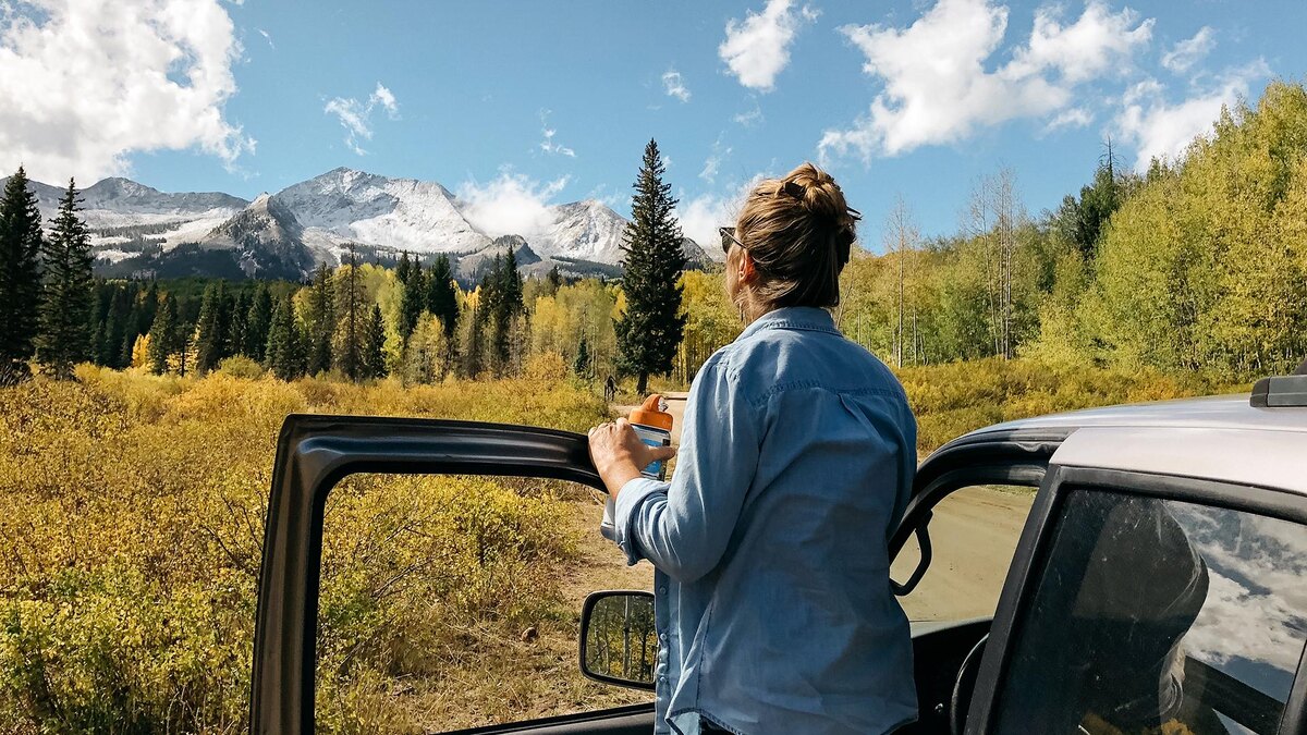    Фото: freepik.com/wirestock