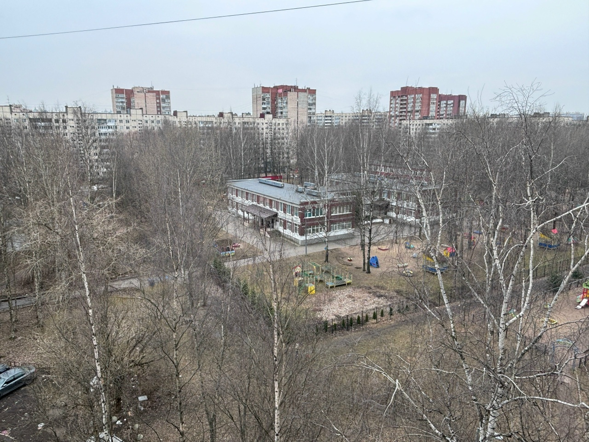 Пара детских садов во дворе. В соседнем - школа.