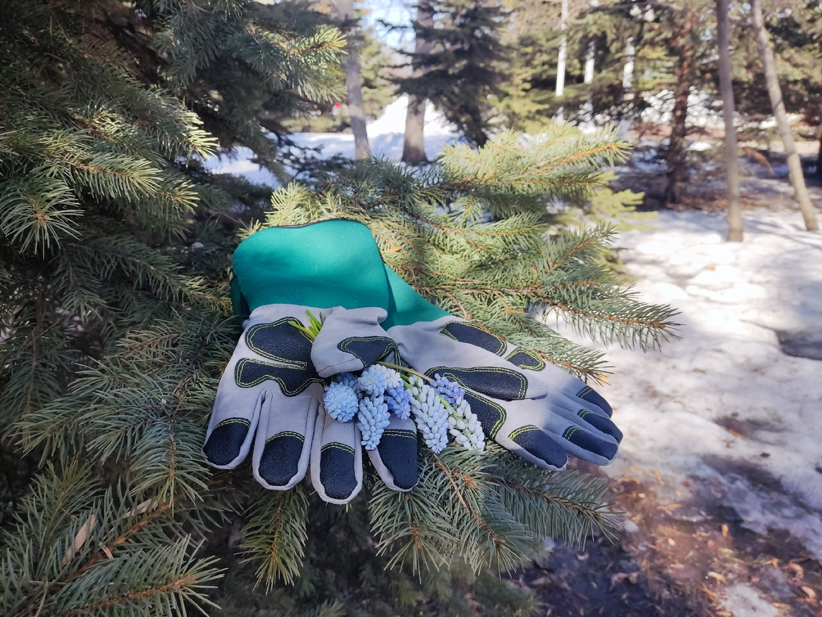 Садовые перчатки для работы с колючими растениями