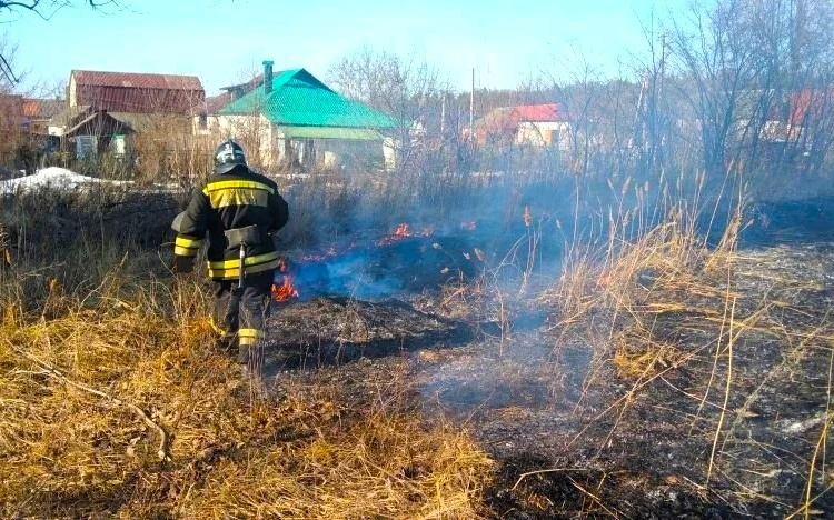     В Курской области зафиксировали первые случаи горения травы в этом году