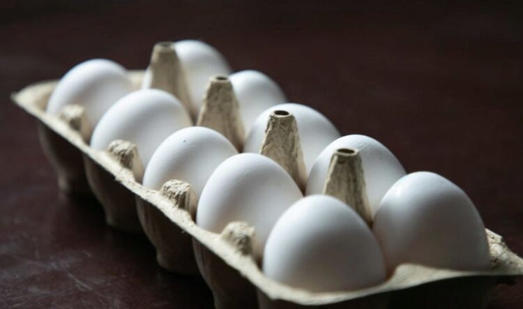    Фото: ФАС России