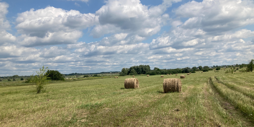 Сельхозземли: что ждет владельцев