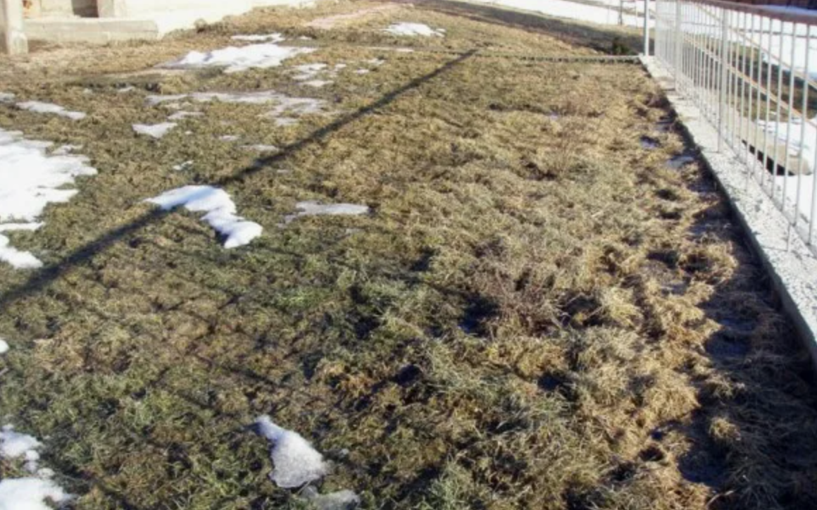 Источник фото: forumhouse.ru