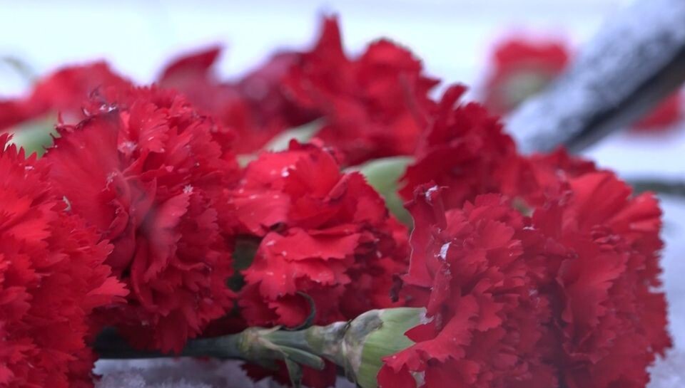    Цветы. Гвоздки. Память.. Источник: телеканал "Толк"