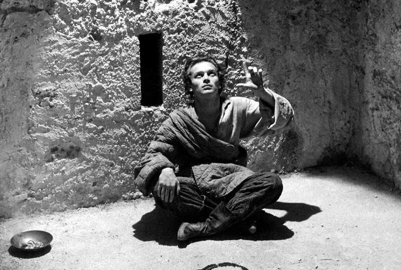 Лама «Миларепа» из Италии