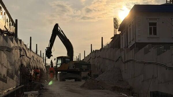    © Telegram Михаил Развожаев