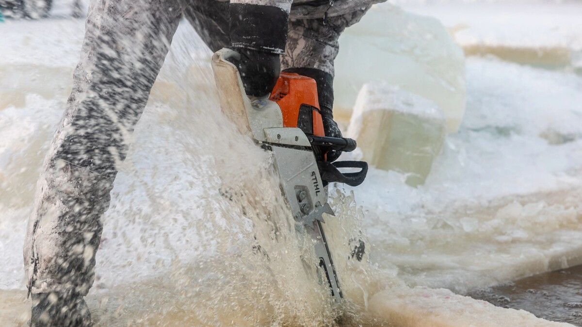    Фото: Никита Погодин / «Ямал-Медиа»