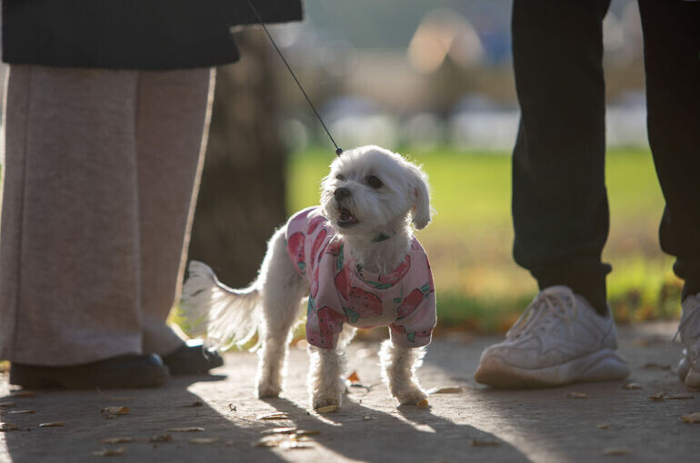   Тимур Ханов/«Парламентская газета»