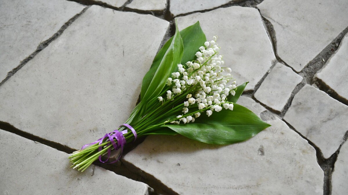    Фото: Андрей Ткачёв / «Ямал-Медиа»