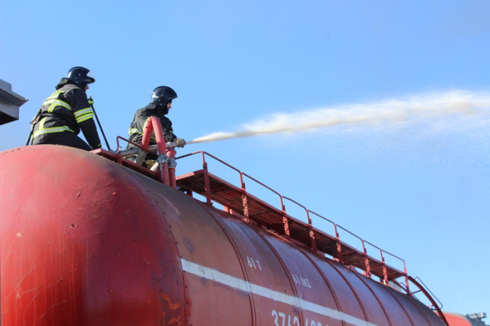    Эльвира Суздальцева/ИД «Гудок»