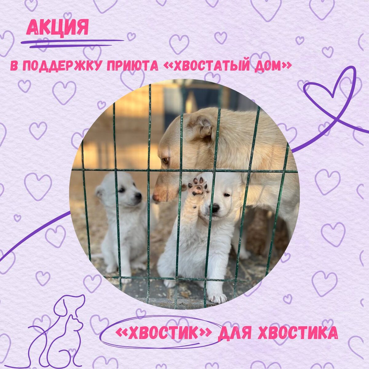 Даже маленькая помощь для нас важна