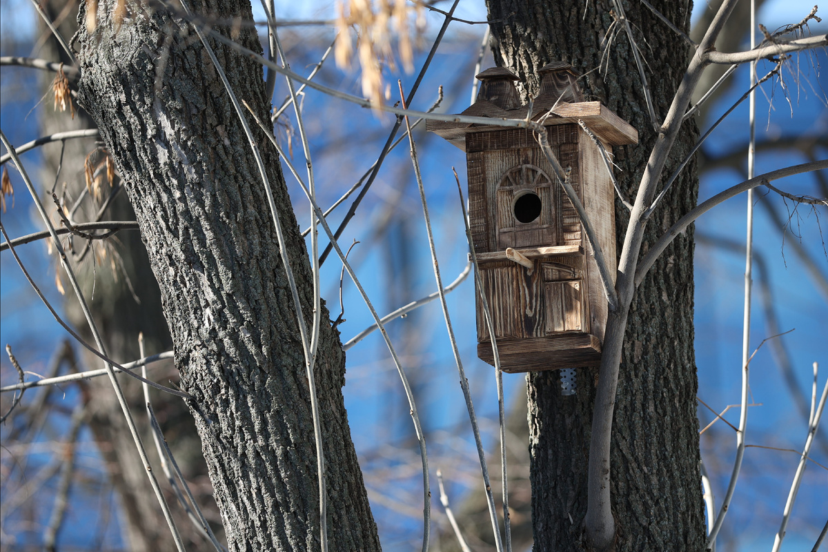 Образ усадьбы Матерн с ул. Нагорной, известной в народе как «Кошкин дом», уже украшает Фуксовский сад.