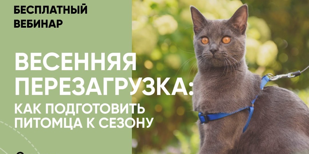 Знаний много не бывает