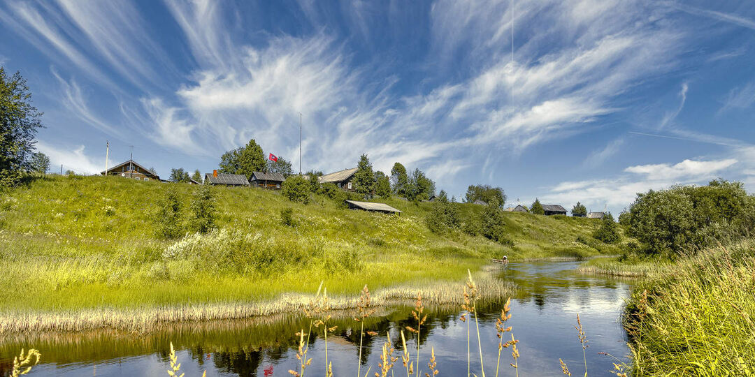 Воробей тоже птица