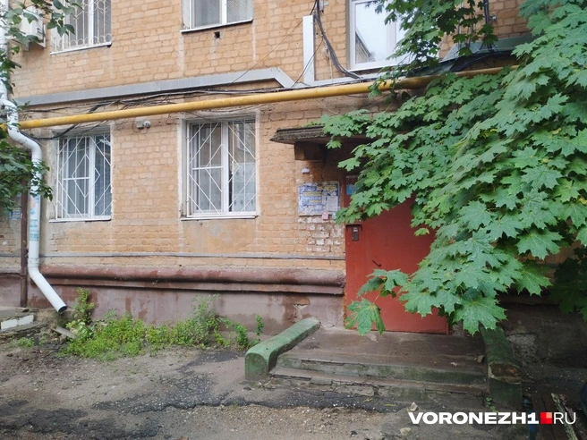 Источник: Дмитрий Волгин / Voronezh1.ru