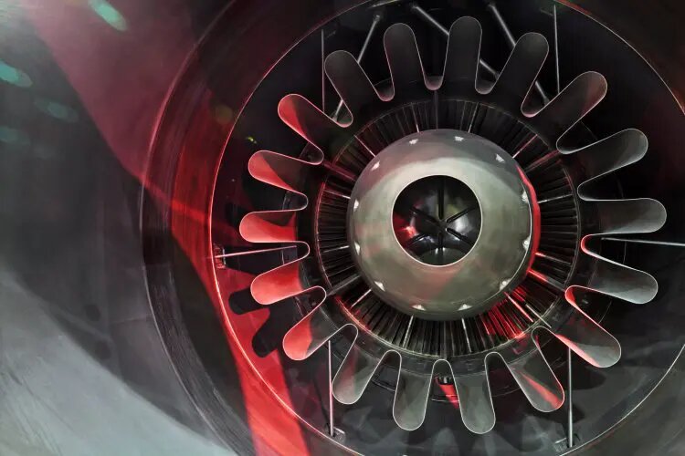    Источник: scientificrussia.ru Анна Абрамова