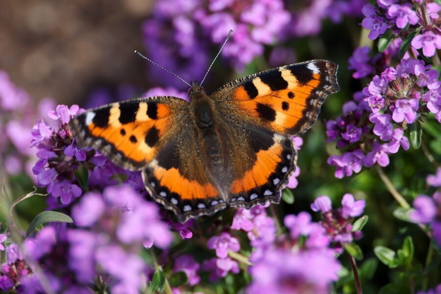     / Источник: © Михаил Метцель/ТАСС