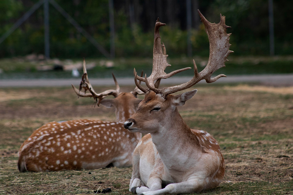    Изображение носит иллюстративный характер. Фото: Arletys-Borrego / Pixabay.com