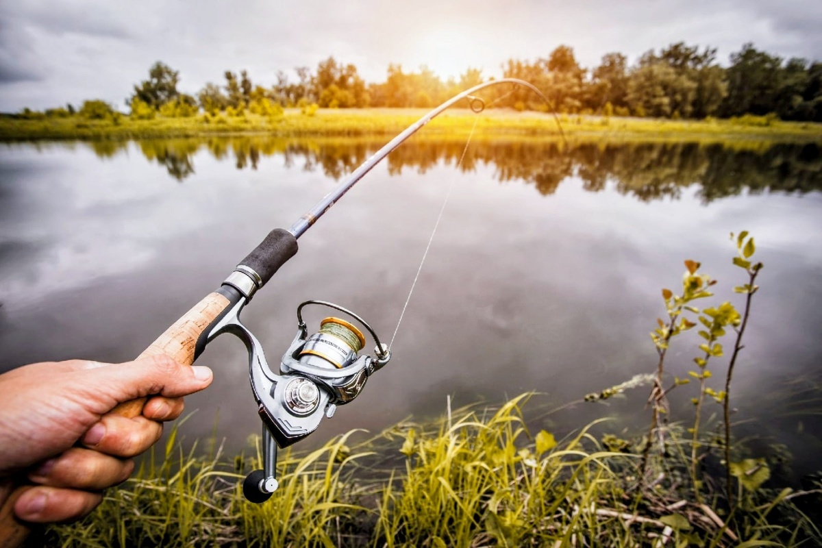 Просто ловишь рыбу, а статьи зарабатывают деньги