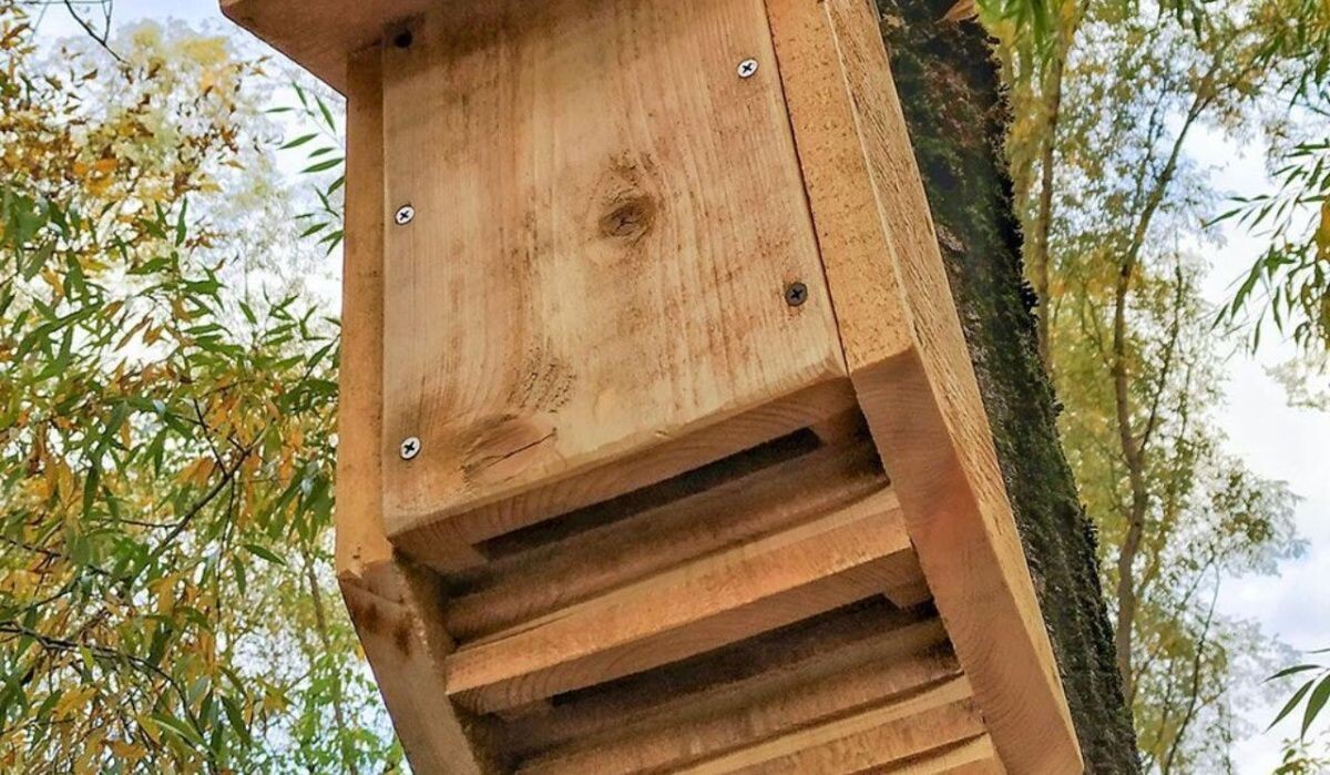     Домик для летучих мышей. Источник: mos ru Автор фото: Пресс-служба Мэра и Правительства Москвы