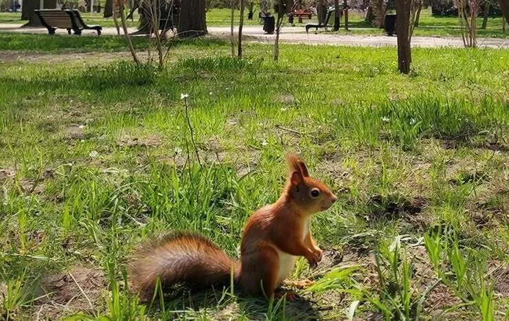    Фото: генерация ИИ/ГИПОРТ