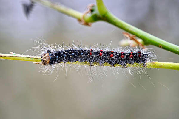 STAR-MEDIA/Michael Schone/Global Look Press   📷