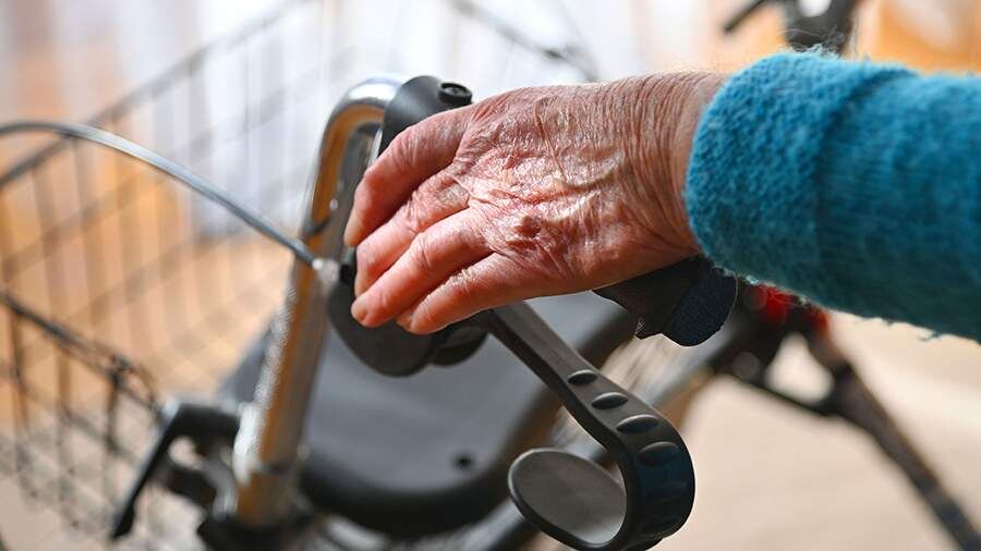    Фото: Global Look Press/Frank Hoermann/SVEN SIMON