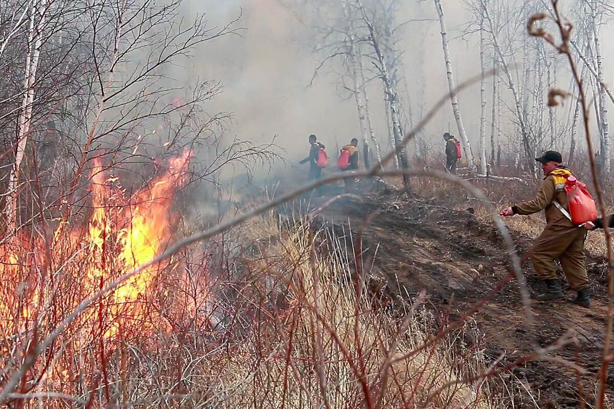     / Источник: © Пресс-служба ФБУ «Авиалесоохрана»/ТАСС