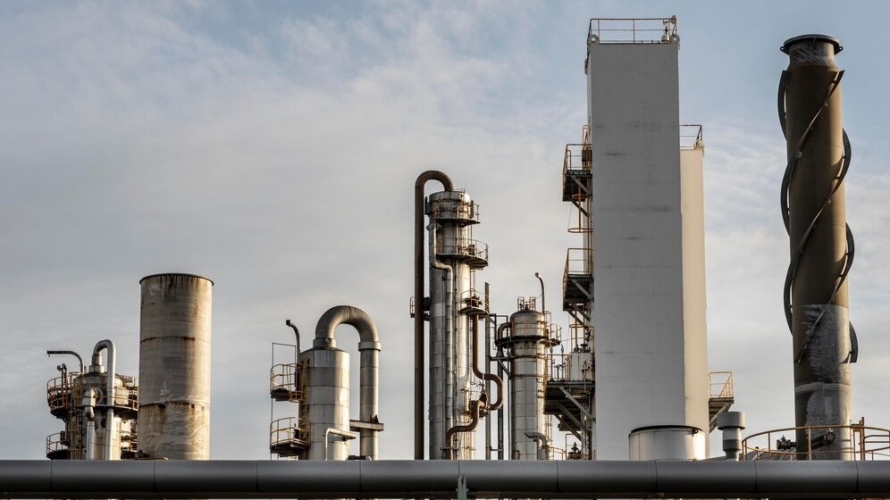    фото: freepik.com / freepik.com