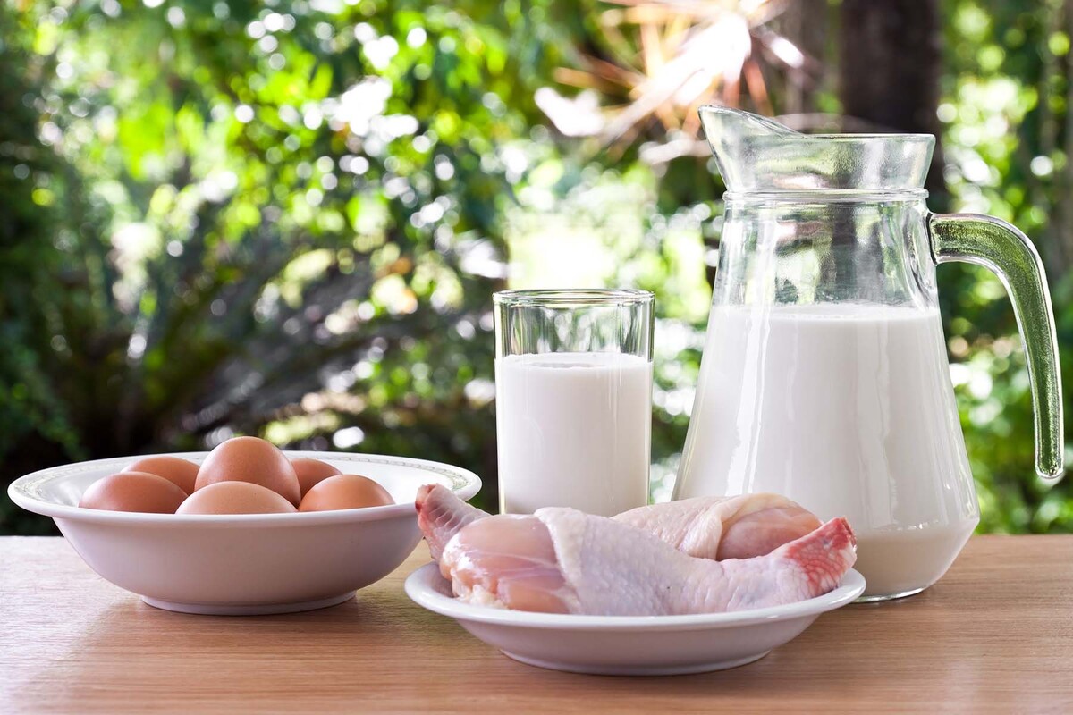  © zirconicusso, Freepik.com