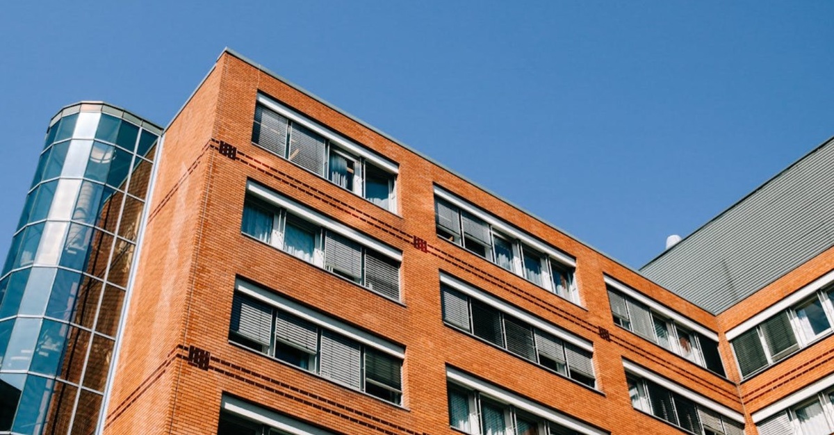    Фото: Pexels, @Andreea Ch