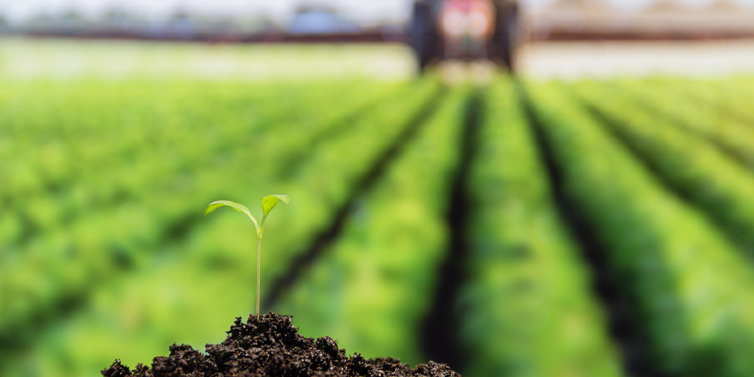 Азот в поле: полное руководство по формам и способам внесения. Практические рекомендации по азотному питанию.