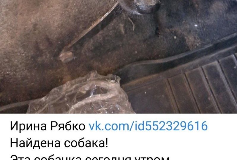 Пока она Черри...Хочется надеяться,что ее таки ищут