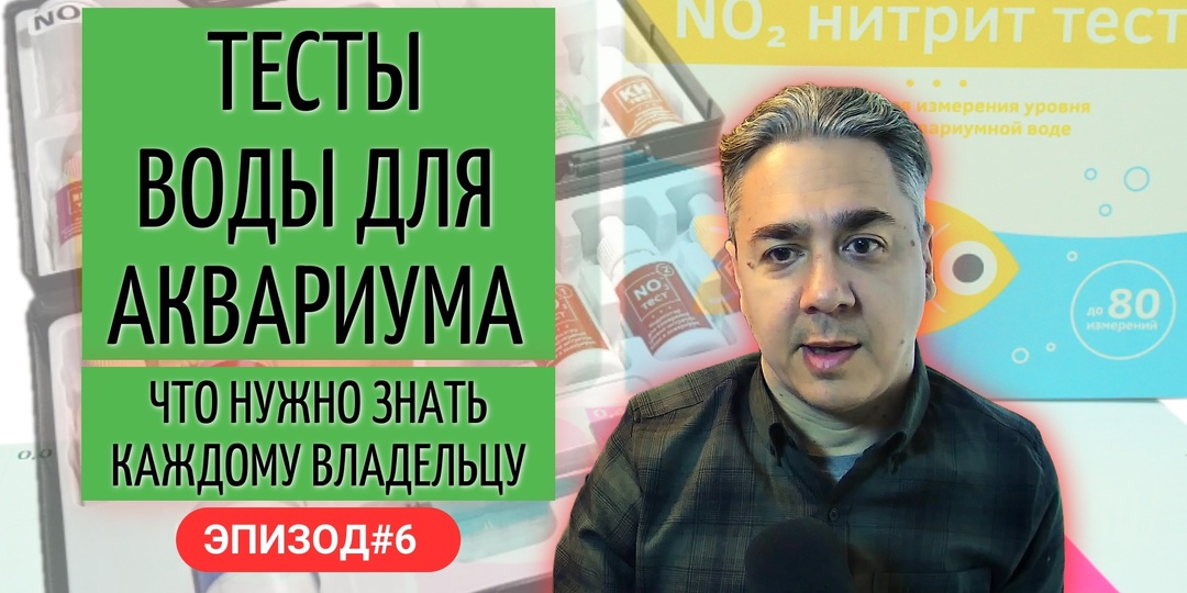 Тесты воды для аквариума: что нужно знать каждому владельцу