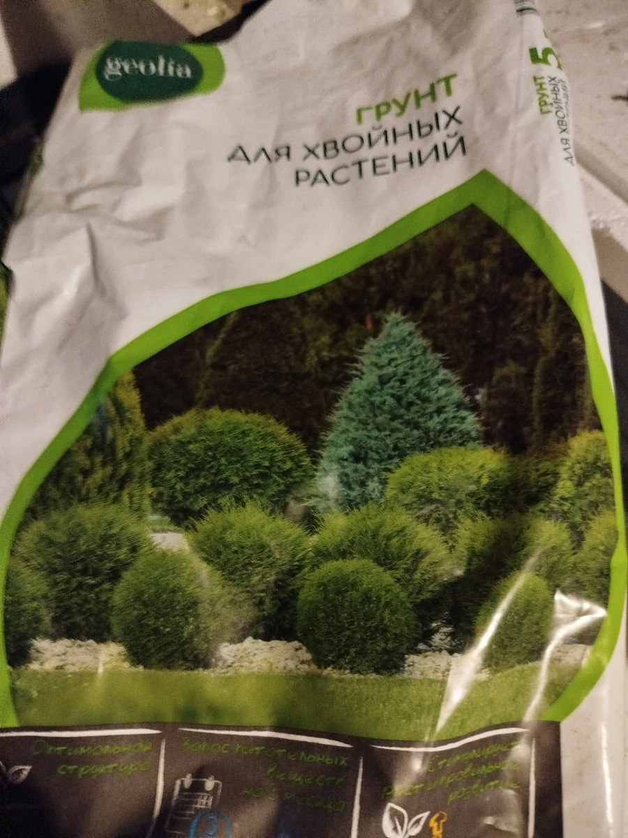 Грунт для хвойников.