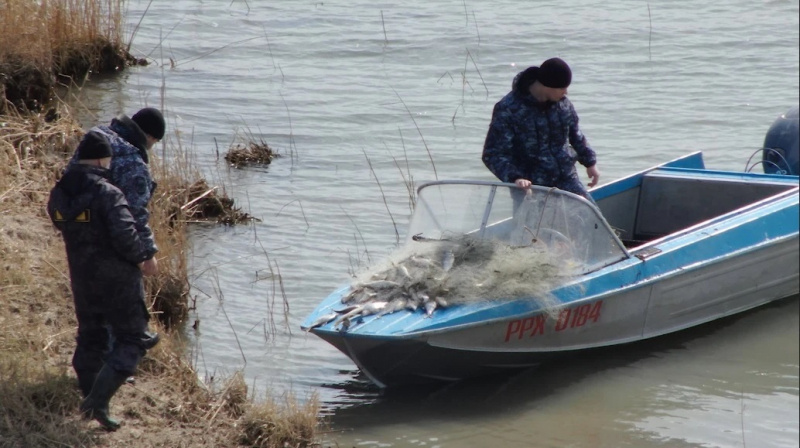   Фото: ГУ МВД России по РО. Газета "Земля"