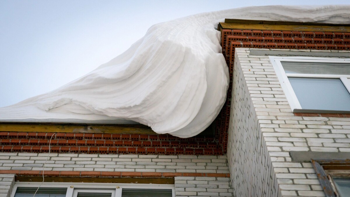    Фото: Федор Воронов / «Ямал-Медиа»