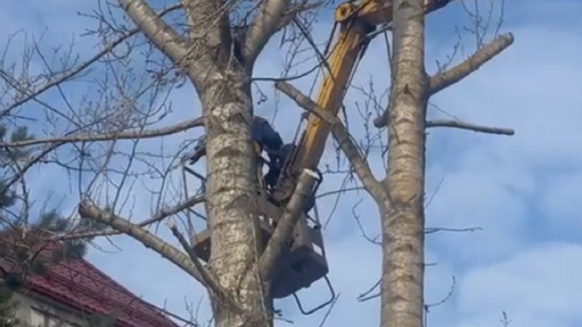    Фото: администрация города Владимира