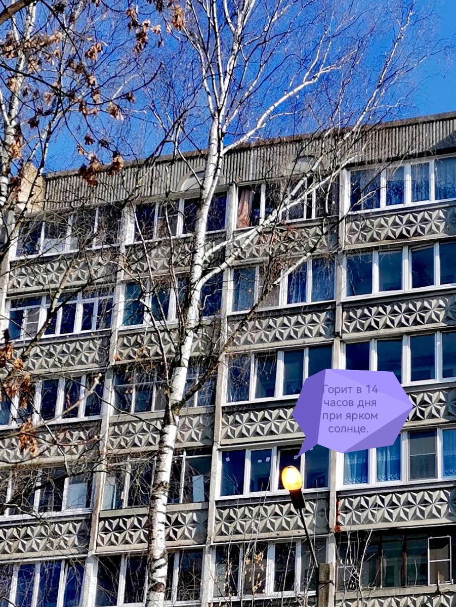 Фото на улице.