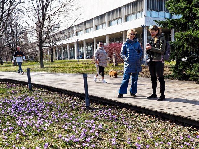    Фото: Москва 24/Лидия Широнина