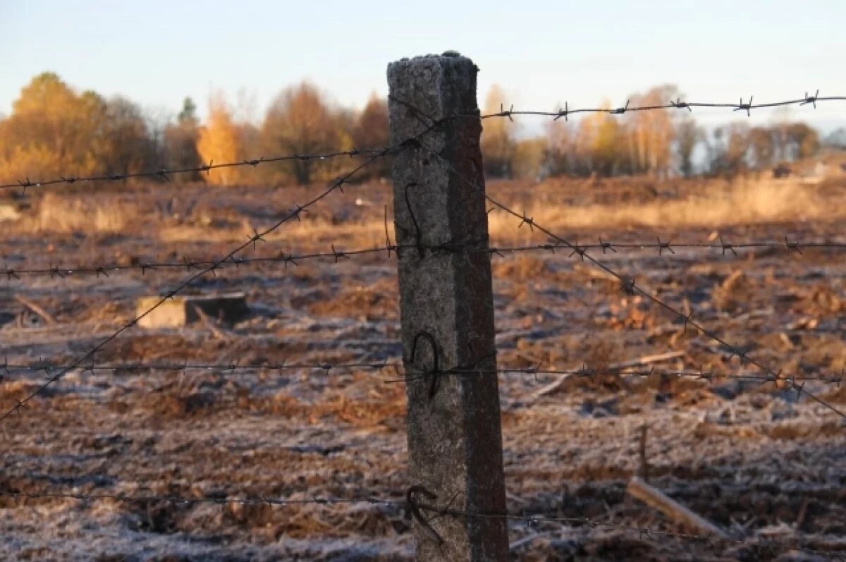    Стало известно, откуда помилованная воспитанница томской колонии родом
