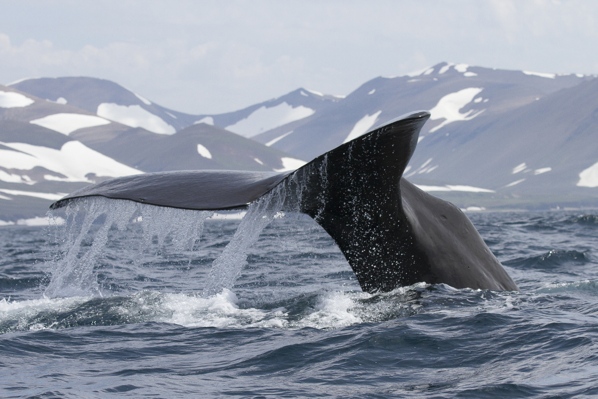 Автор фото: Овсяникова Екатерина, участница фотоконкурса РГО "Самая красивая страна"