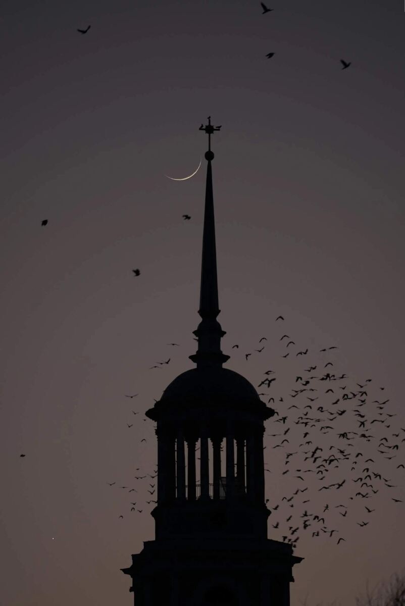 Луна растущая, фото из интернета.