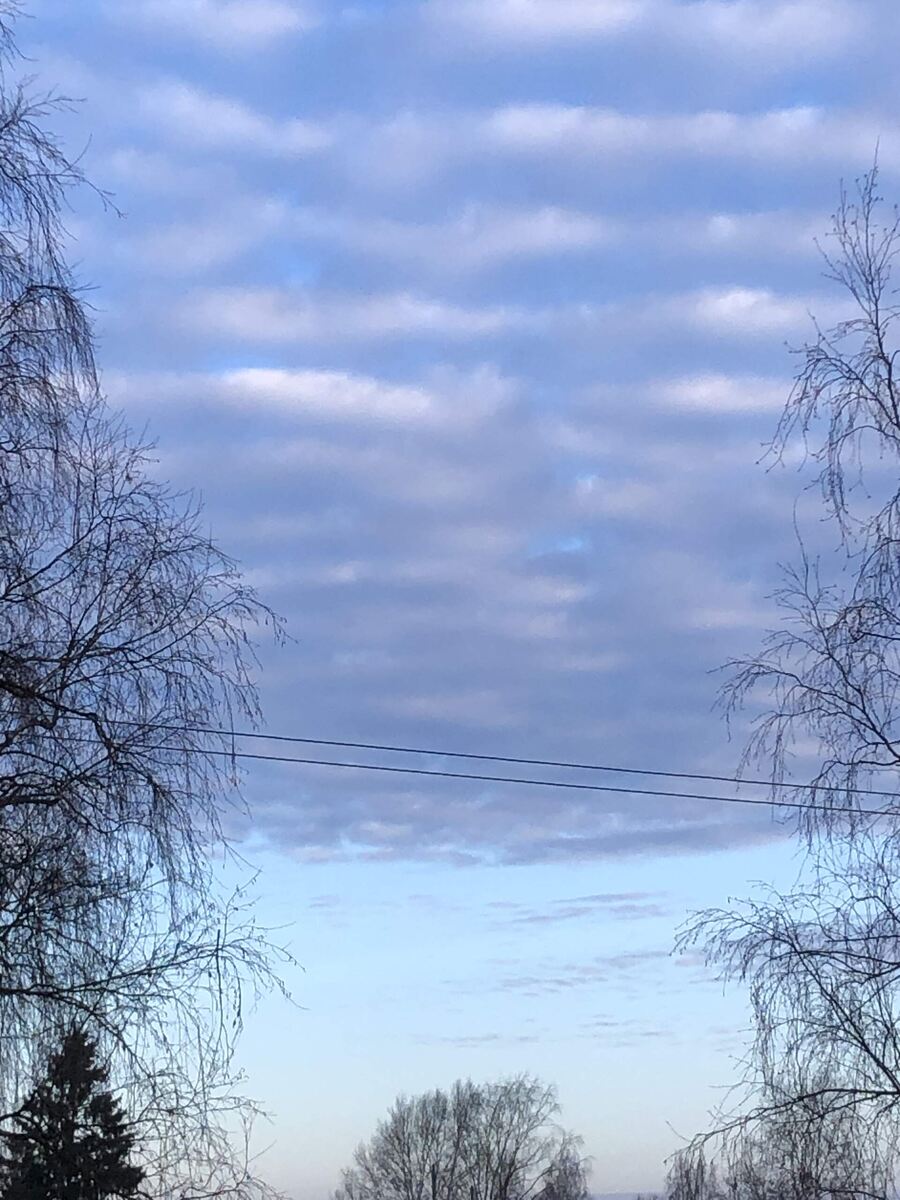 Фото из окна, рассвет.