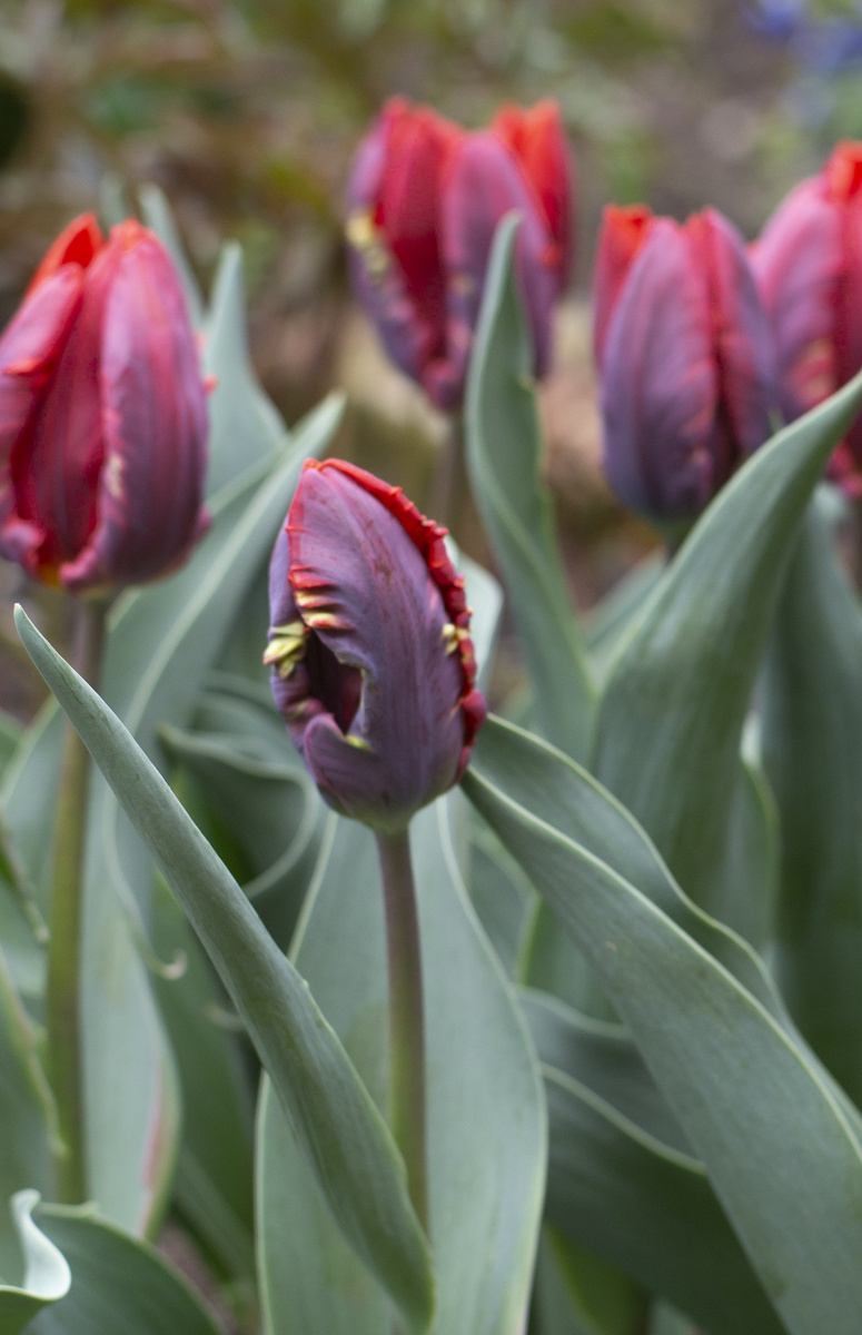 Ну правда же есть в нем что-то хищное?