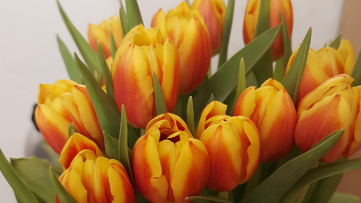 Переход на новый уровень развития