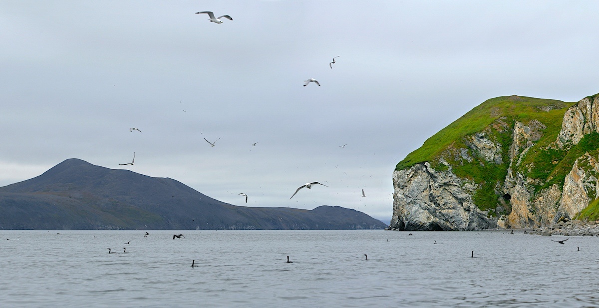 Чукотка. Фото: Андрей Каменев / GeoPhoto