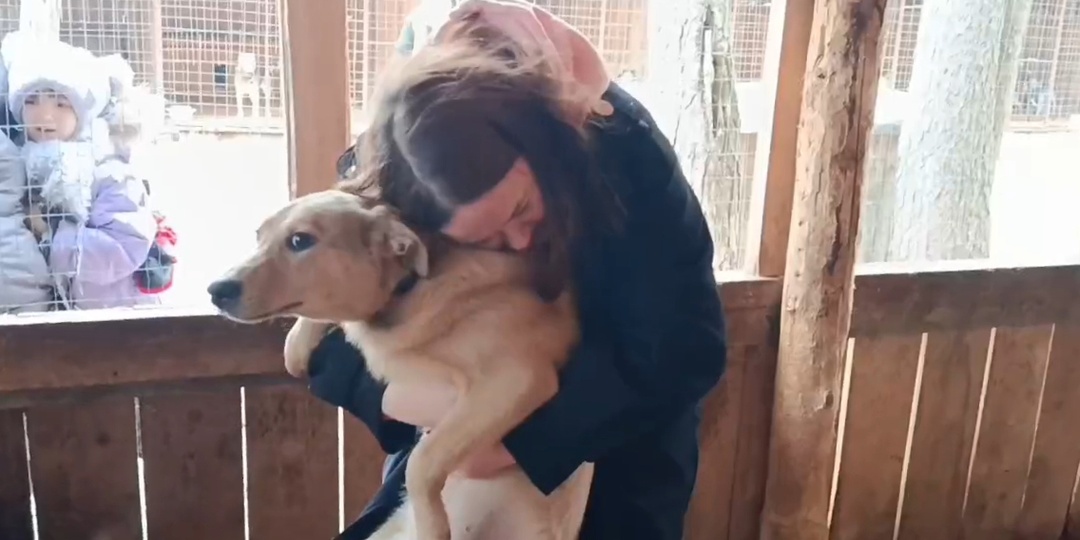 Посылки добра для Степана, Мухи и всех наших хвостатых