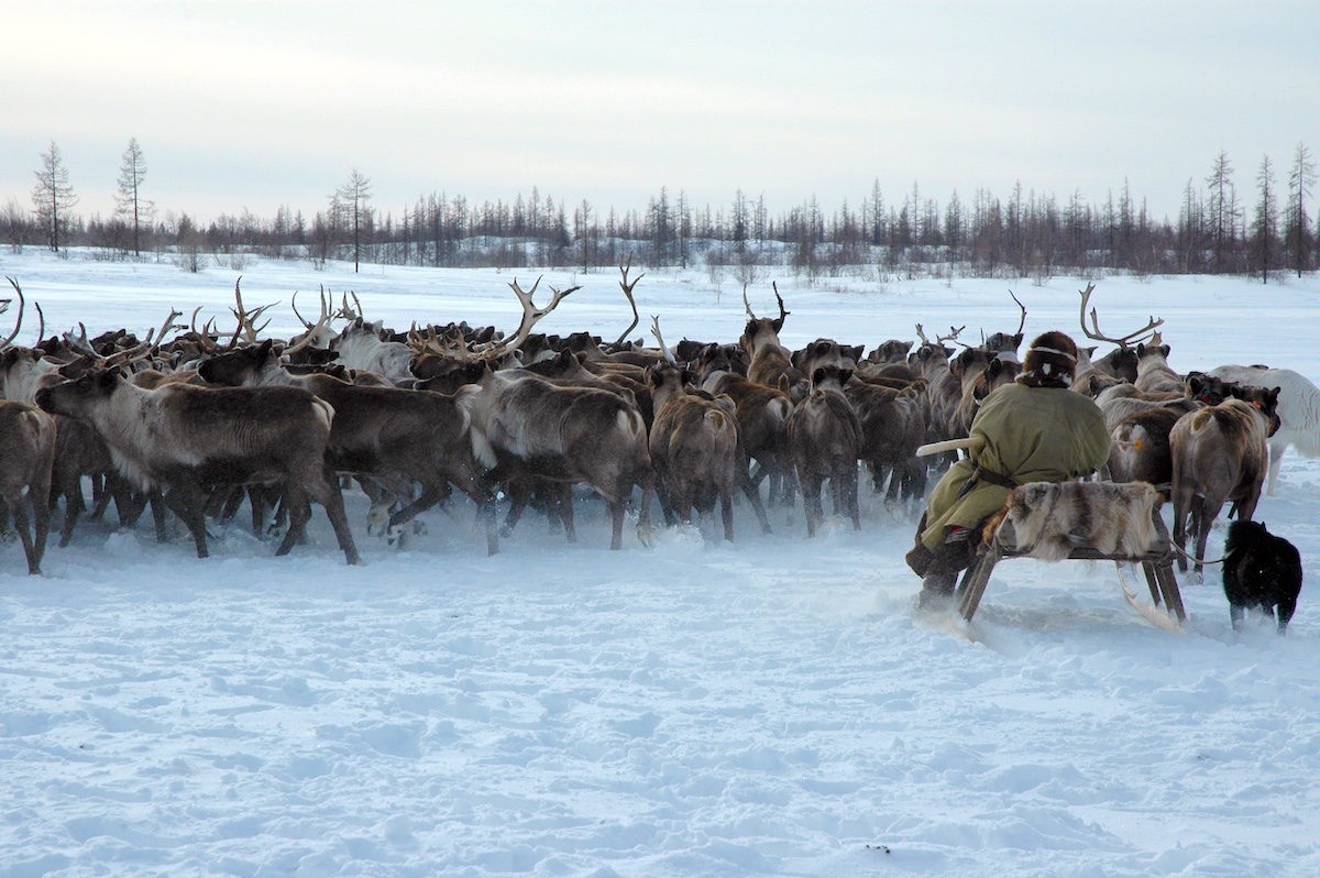 Фото: Кирилл Скоробогатько / GeoPhoto