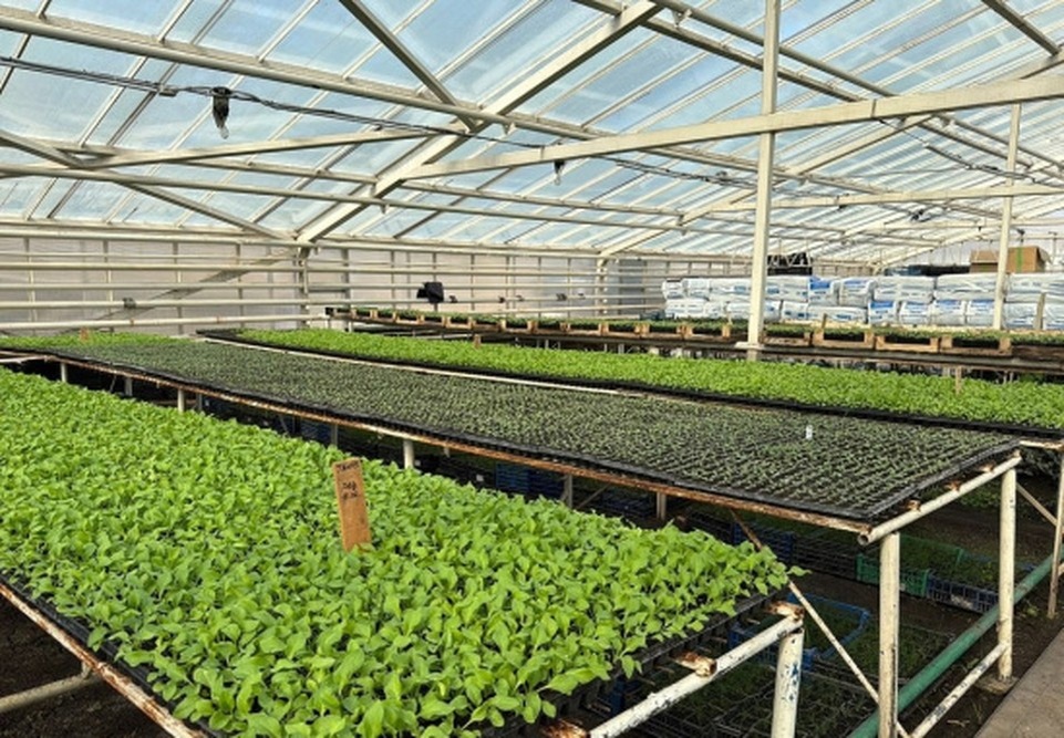    Фото правительства Белгородской области